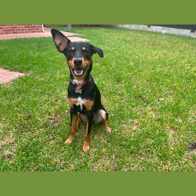 Photo of Melvin