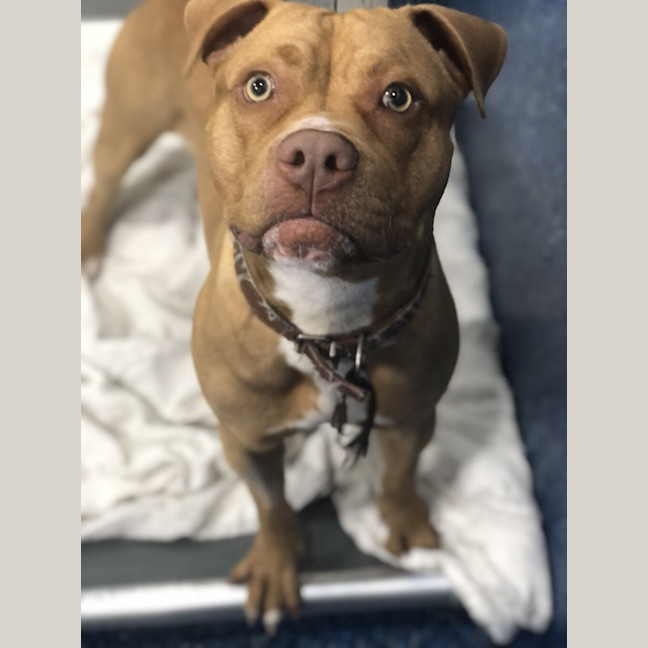 Photo of Jasper