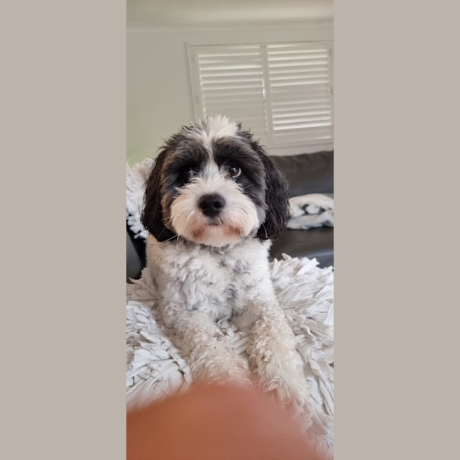 Photo of Wally