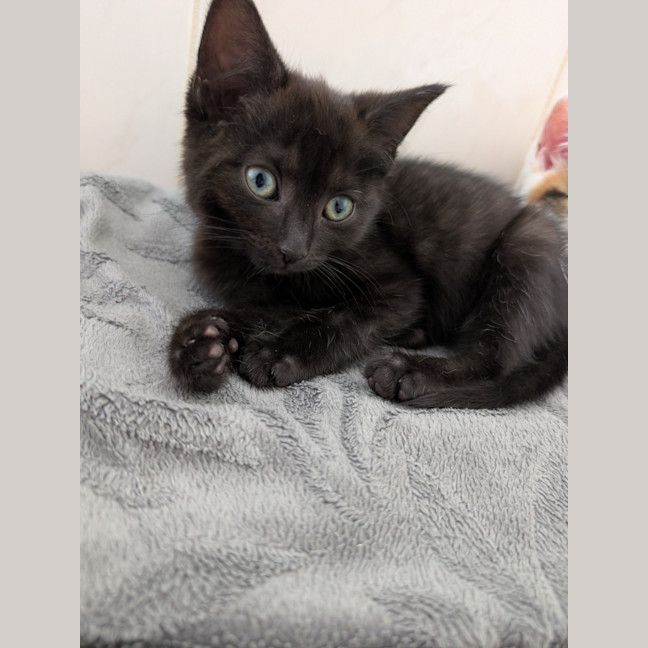 Photo of Zoe