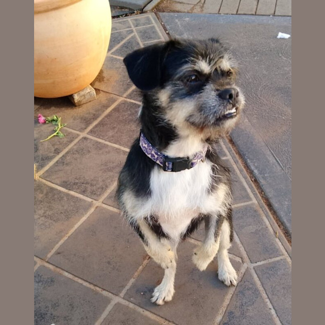 Photo of Murphy