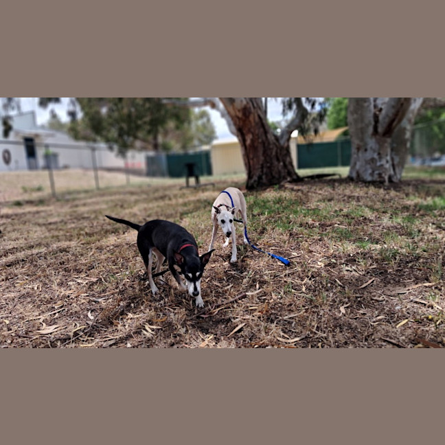 Photo of Molly 