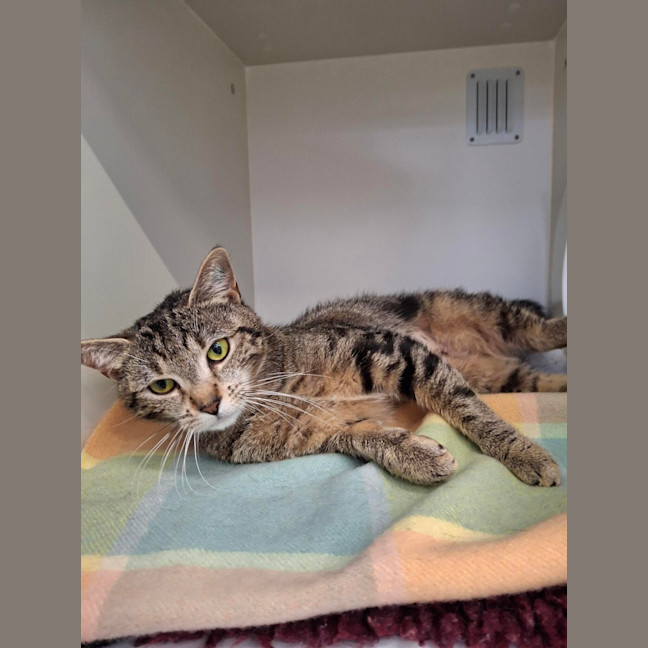 Photo of Miss Moneypenny