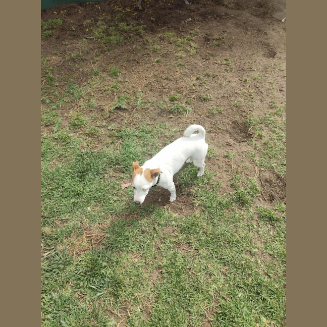 Photo of Tuppy