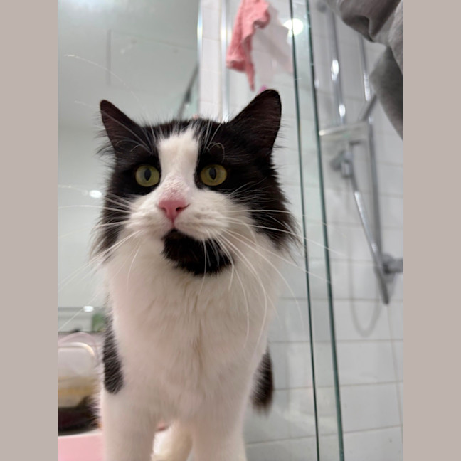 Photo of Milky