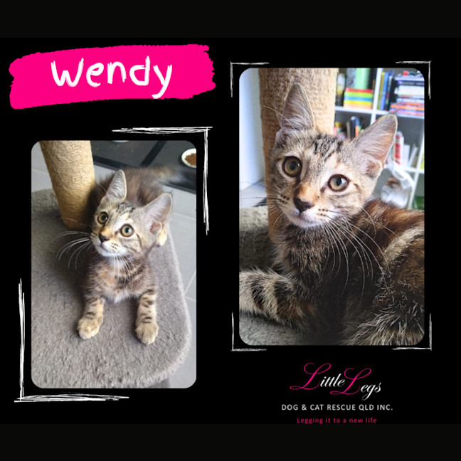 Photo of Wendy