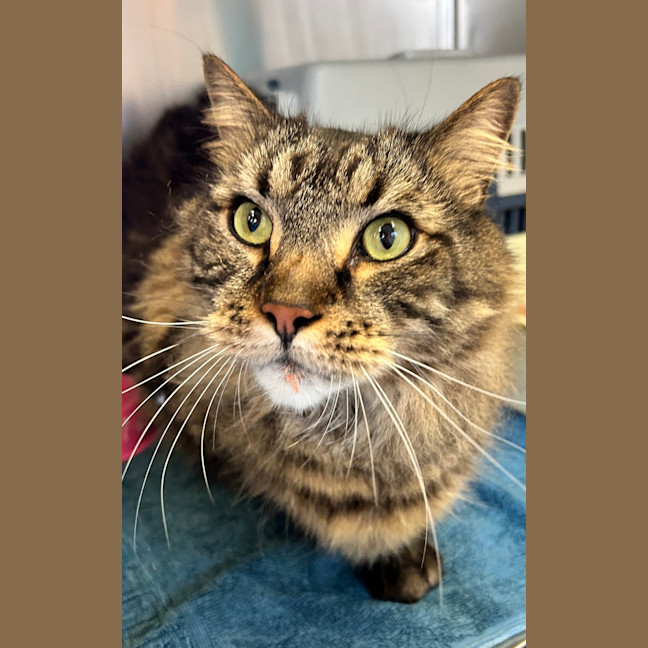 Photo of Munchkin