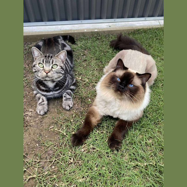 Photo of Mango & Taco 