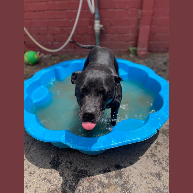 Photo of Bindi