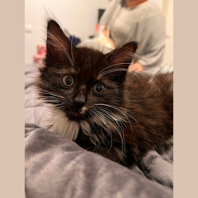 Photo of Gilbert 💙