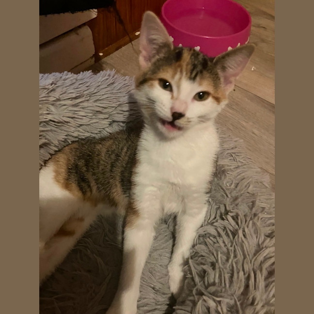 Photo of Amelia