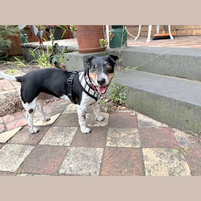 Photo of Bella Valenti