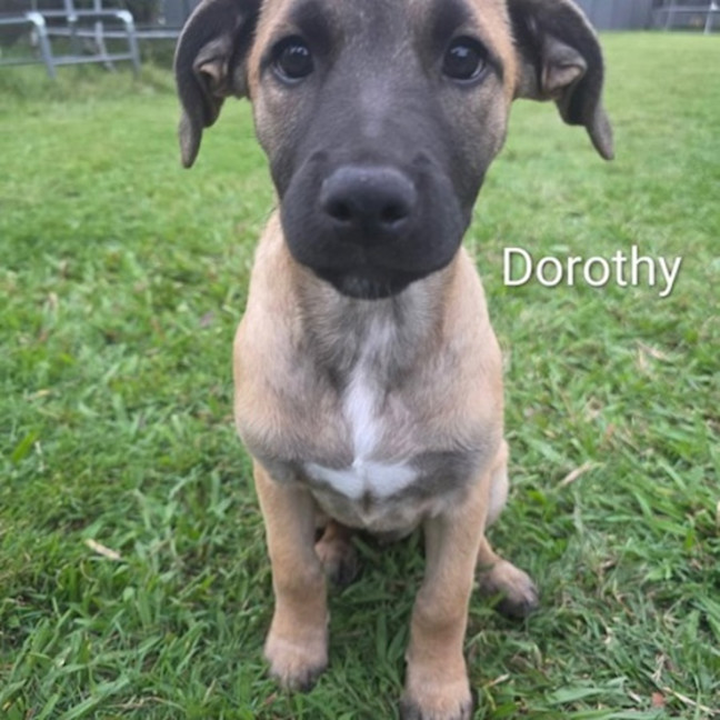 Photo of Dorothy