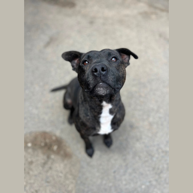 Photo of Miguel Los Santos