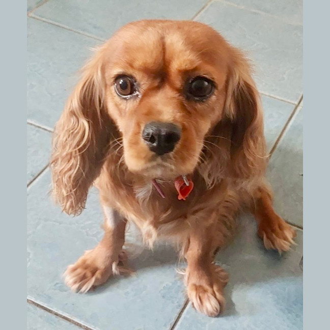 Photo of Lovely Lala 