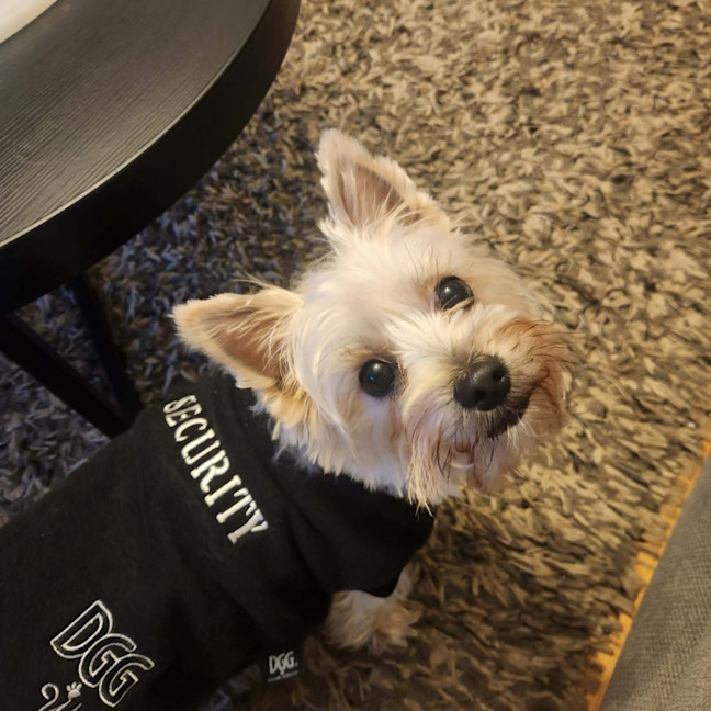 Photo of Coco