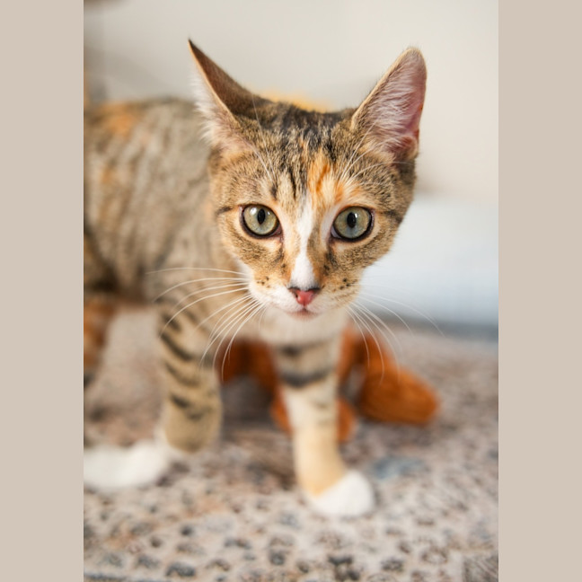 Photo of Elsie