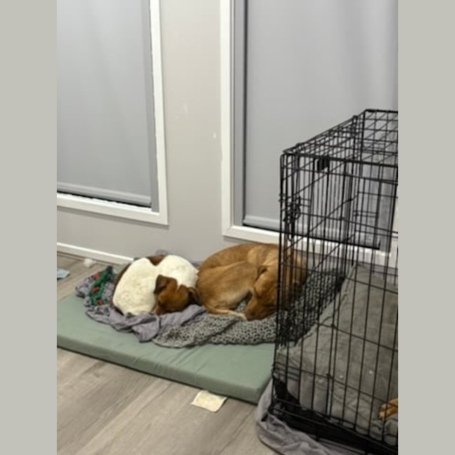 Photo of Mila And Lindy