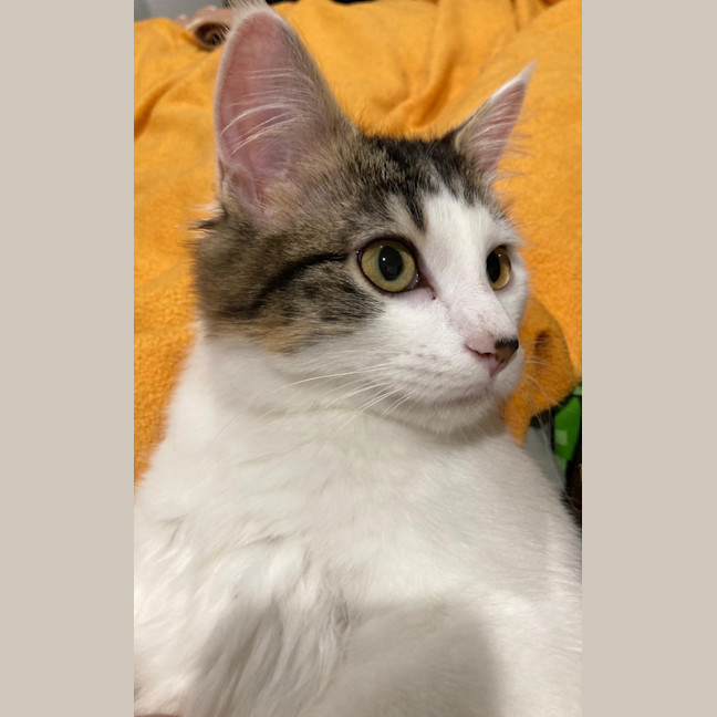 Photo of Hallie
