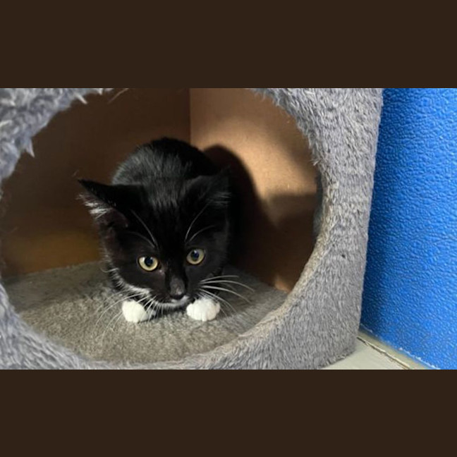 Photo of Wednesday