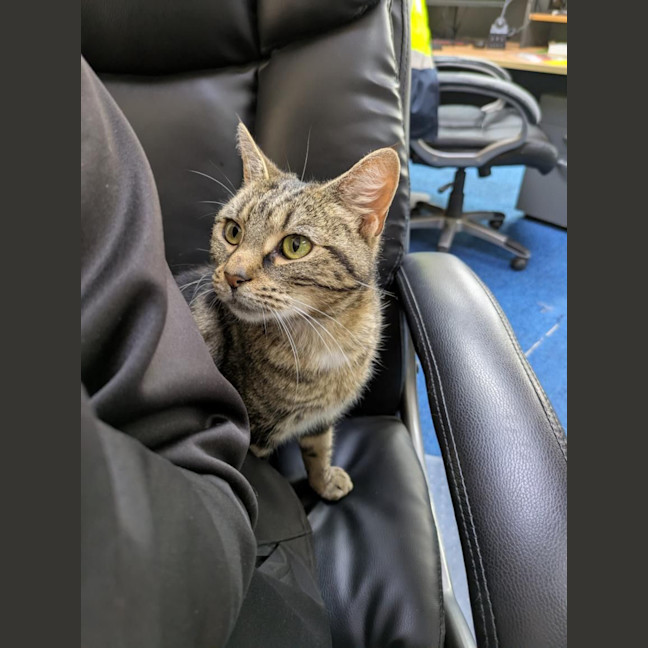 Photo of Banoffee