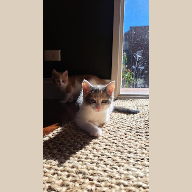 Photo of Maggie