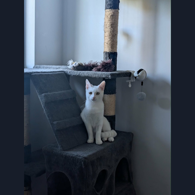 Photo of Cloud
