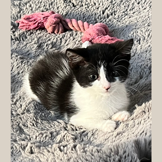 Photo of Xena And Smudge