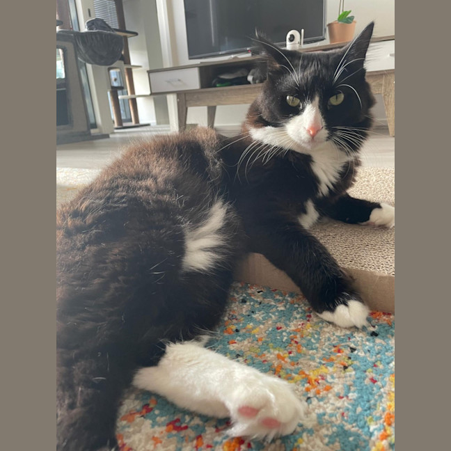 Photo of Inky