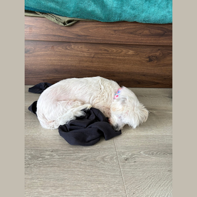 Photo of Ernest (Ernie)