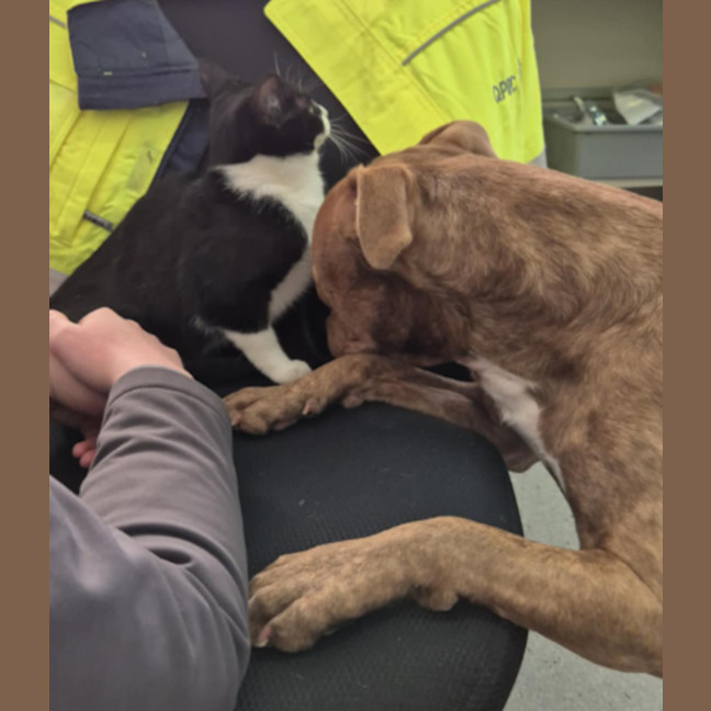 Photo of Meggie 💜