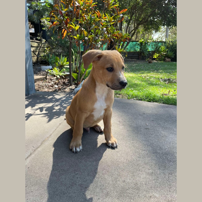 Photo of Charlie