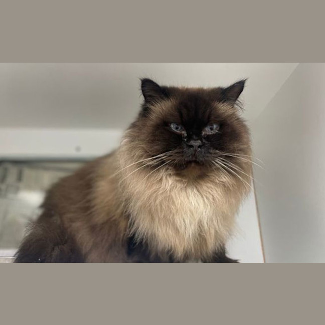Photo of Winnie