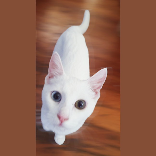 Photo of Elsa