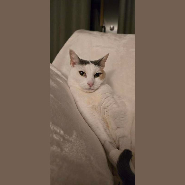 Photo of Angel