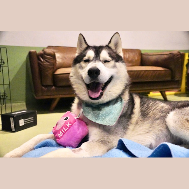 Photo of Buzz