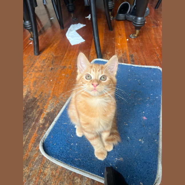 Photo of Artie