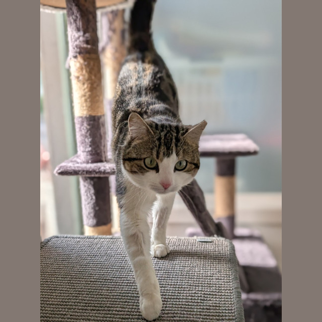 Photo of Otis