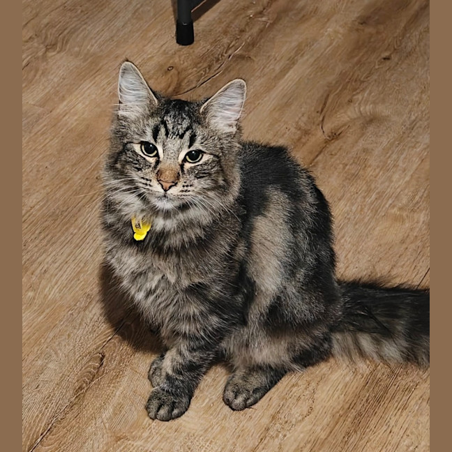 Photo of Poe