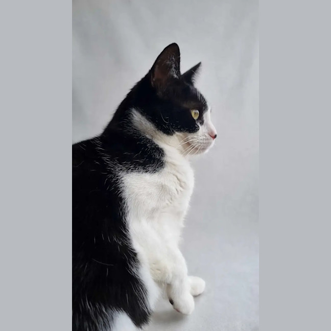 Photo of Kiki