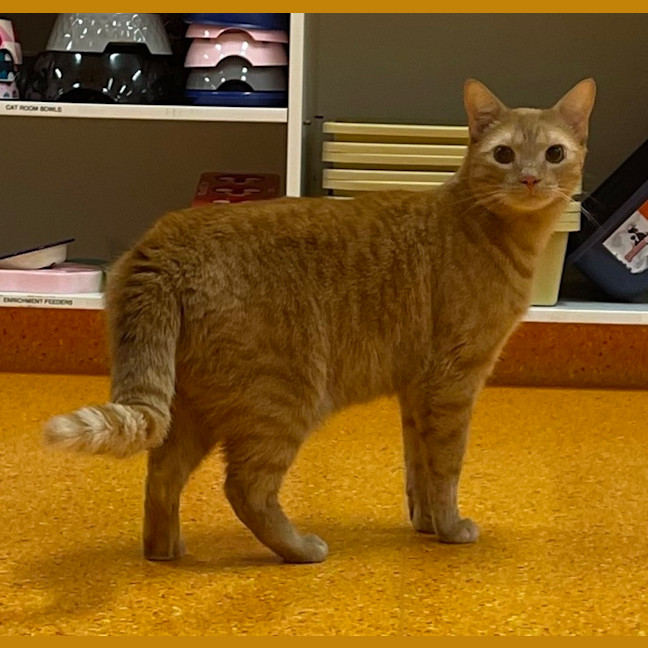 Photo of Rupert