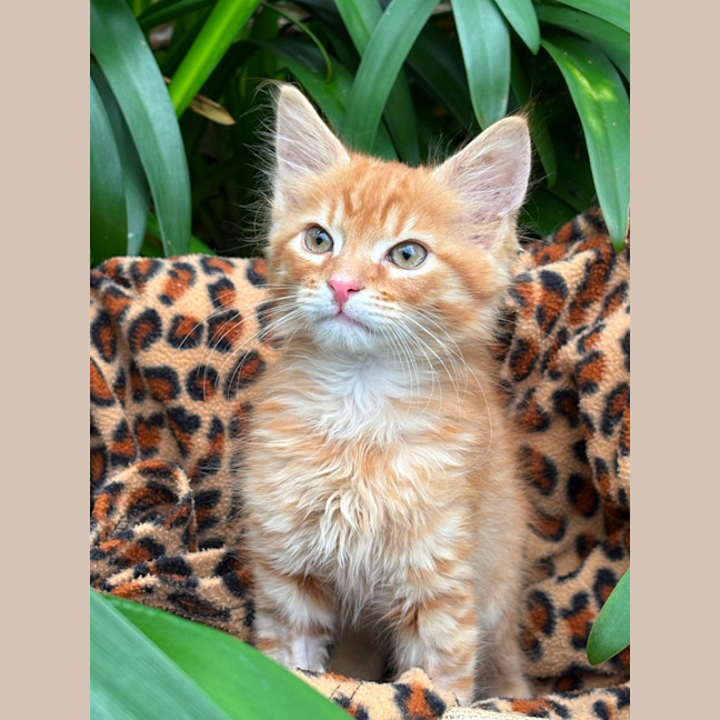 Photo of Marshall 🩵🧢🩵