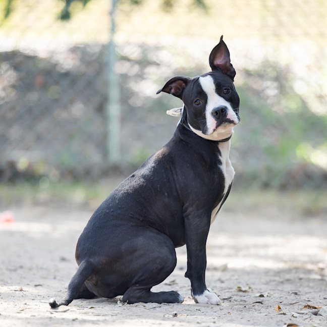 Photo of Bonnie