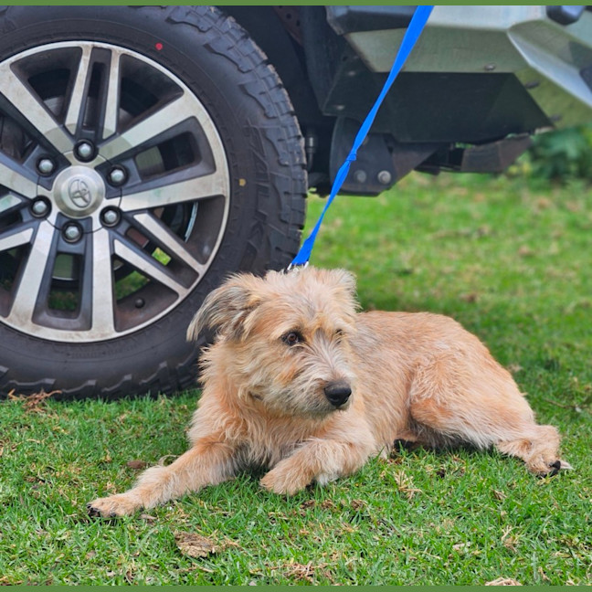 Photo of Betty