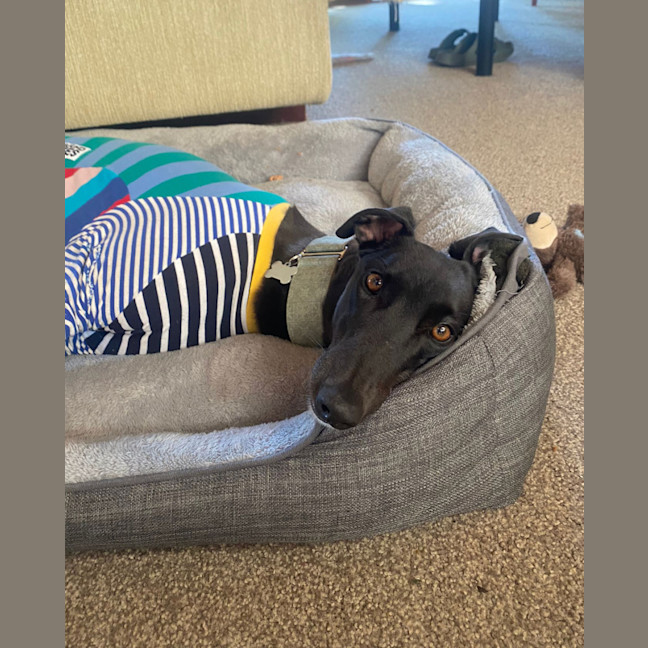 Photo of Izzie
