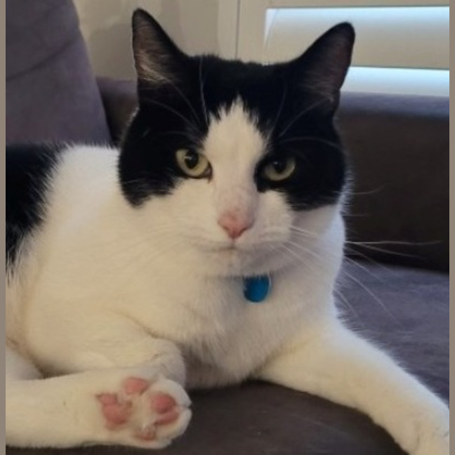 Photo of Missy