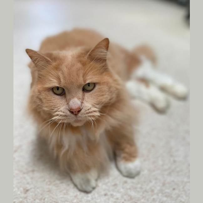 Photo of Garth (0030)