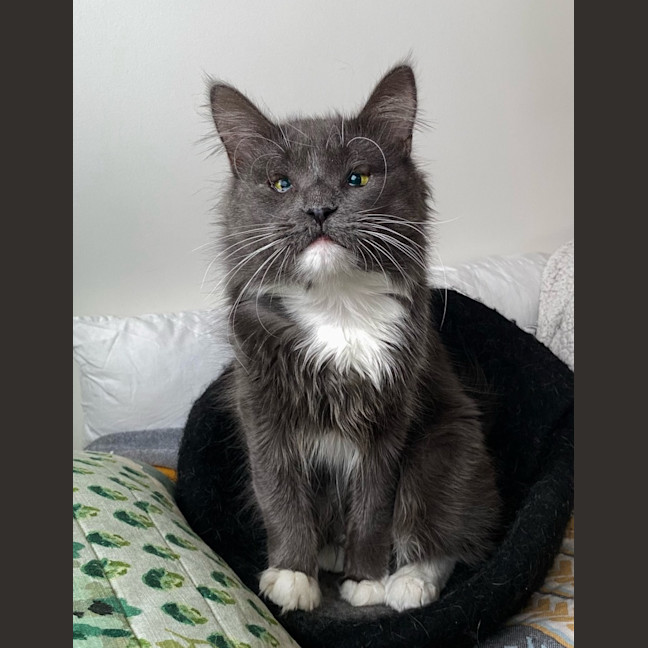 Photo of Arlo
