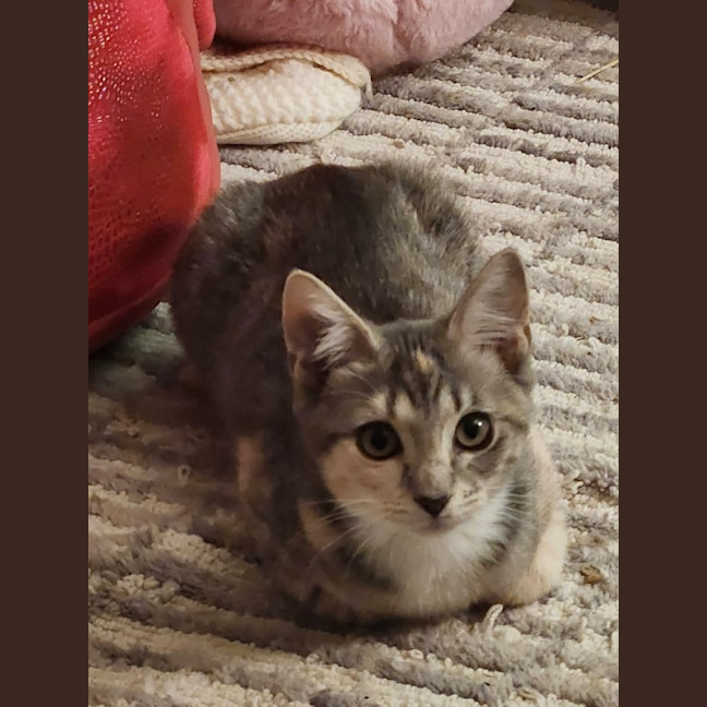 Photo of Elsie And Olive