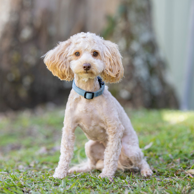 Photo of Crystal (Was Chrysta)